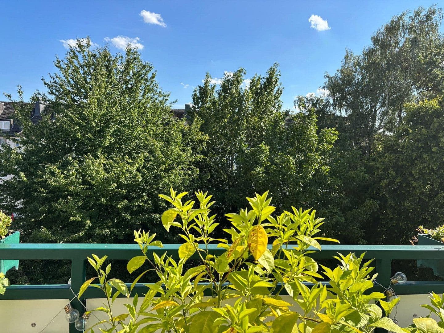 Prodej bytu 3+1 80 m², Herkulesstraße, Kassel, Hessen Prodej bytu 3+1 80 m², Herkulesstraße, Kassel, Hessen