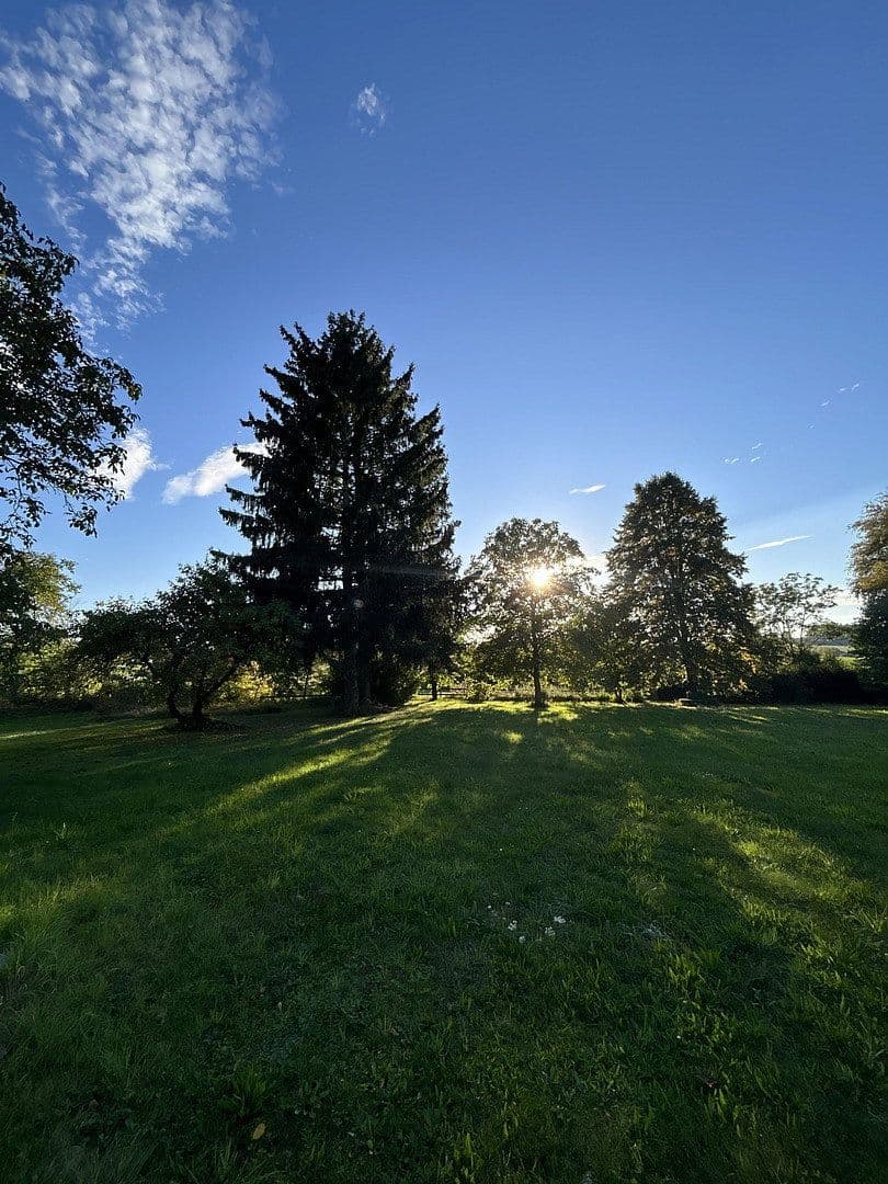 Prodej domu 204 m², pozemek 5.500 m², Weinbergstraße 5, Schönau, Bavorsko Prodej domu 204 m², pozemek 5.500 m², Weinbergstraße 5, Schönau, Bavorsko
