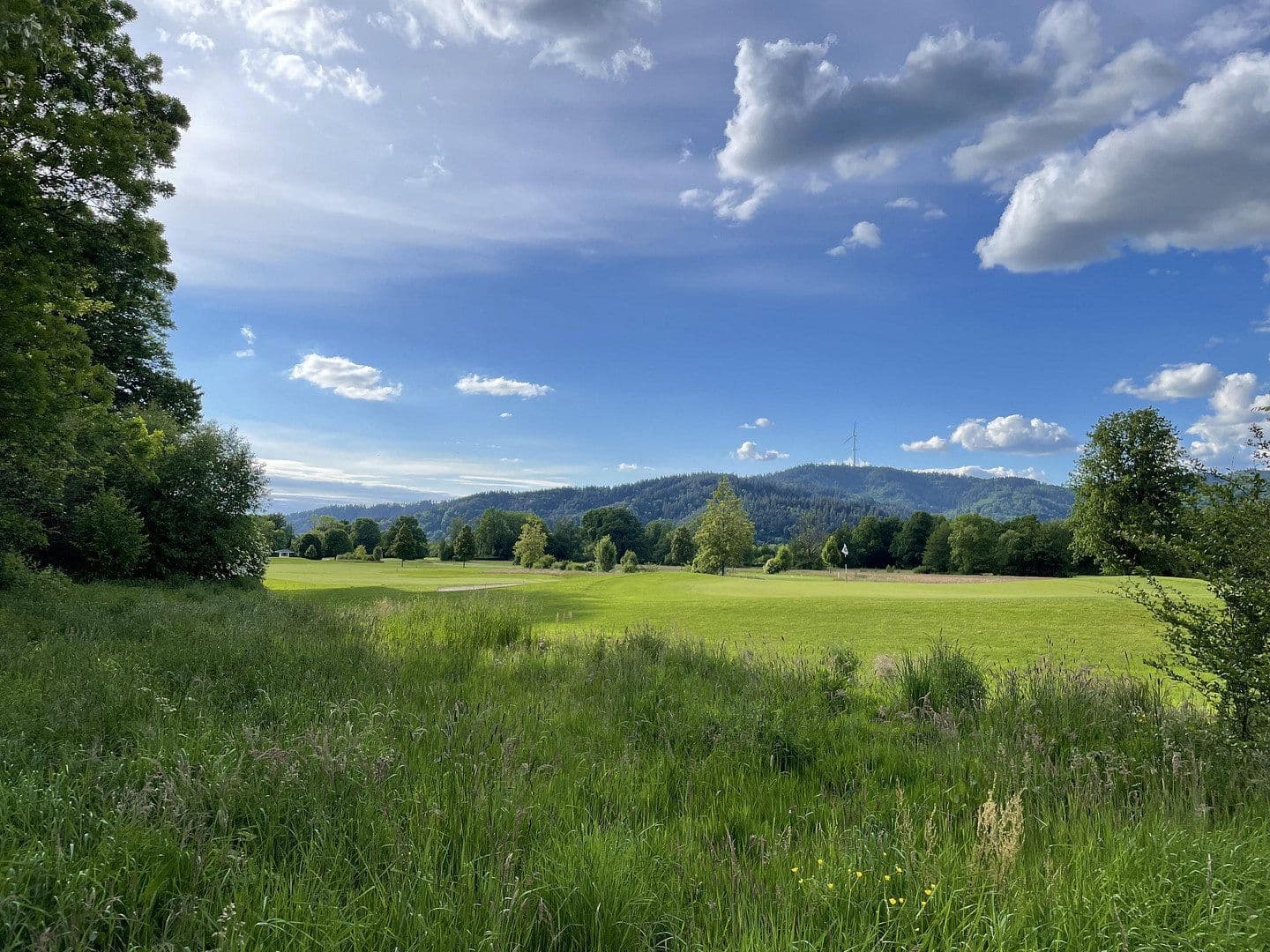 Prodej domu 258 m², pozemek 728 m², Stegen, Bádensko-Württembersko Prodej domu 258 m², pozemek 728 m², Stegen, Bádensko-Württembersko