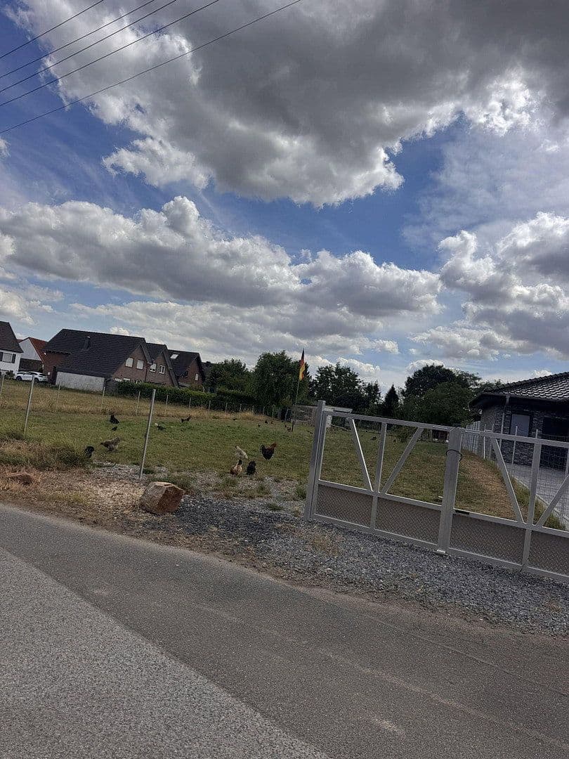 Prodej domu 171 m², pozemek 2.365 m², Fell, Heinsberg, Severní Porýní-Vestfálsko Prodej domu 171 m², pozemek 2.365 m², Fell, Heinsberg, Severní Porýní-Vestfálsko