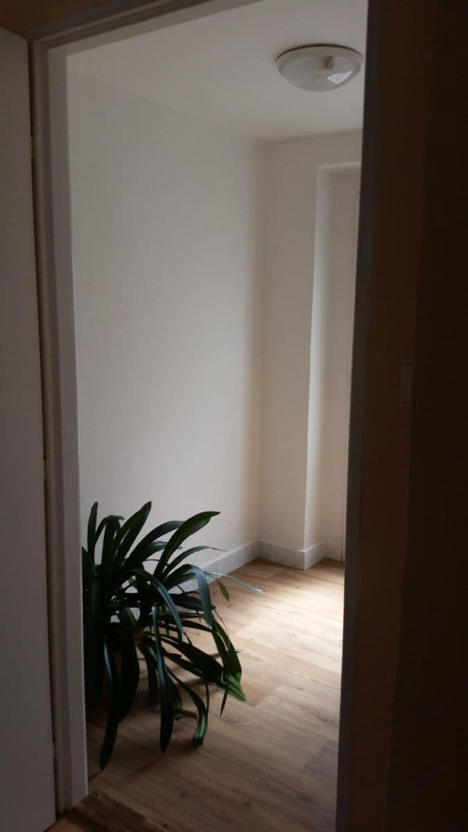Pronájem bytu Garsoniéra 30 m², Čimická, Praha, Praha Pronájem bytu Garsoniéra 30 m², Čimická, Praha, Praha
