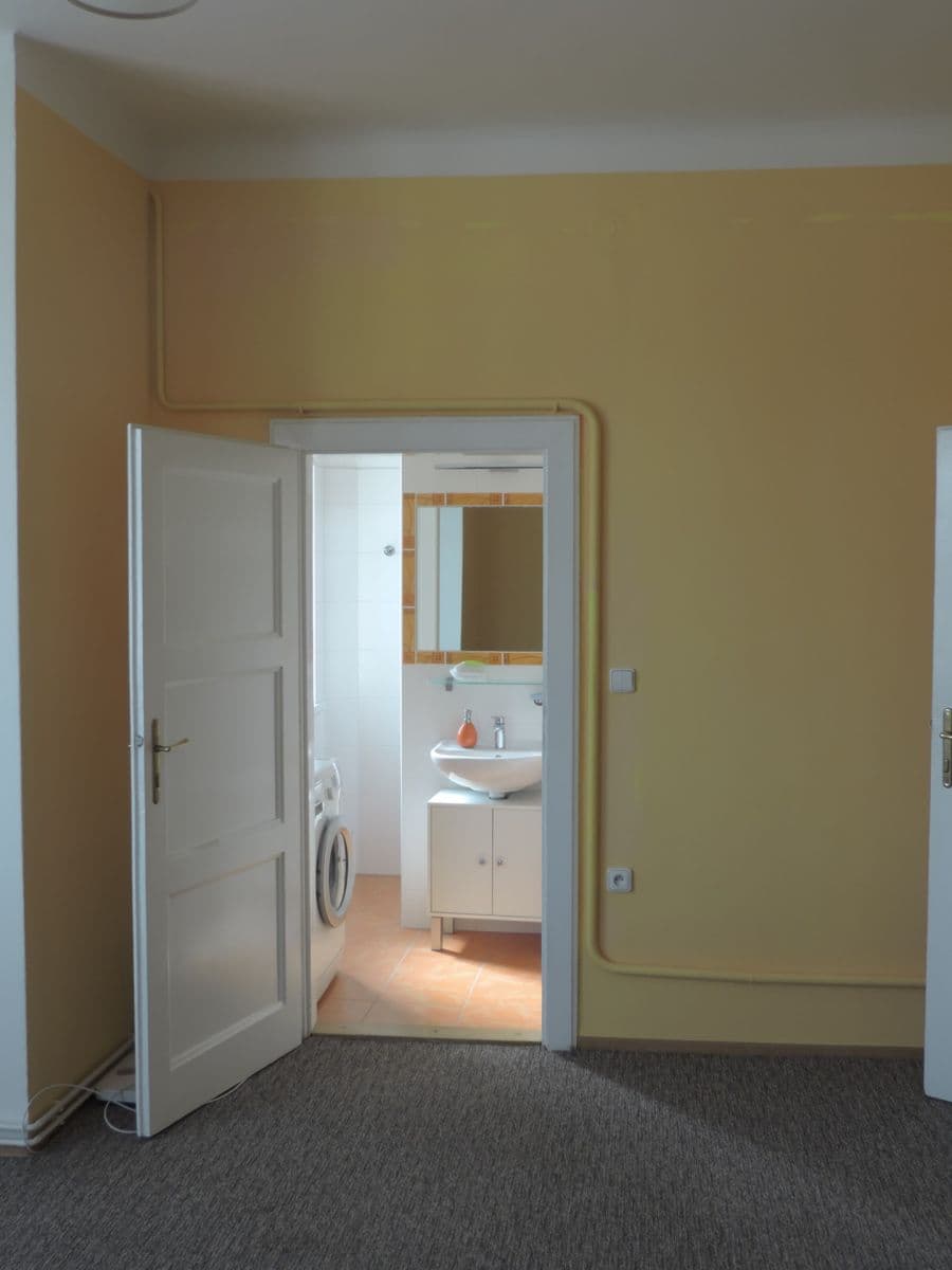 Pronájem bytu 1+1 53 m², Těsnohlídkova, Brno, Jihomoravský kraj Pronájem bytu 1+1 53 m², Těsnohlídkova, Brno, Jihomoravský kraj
