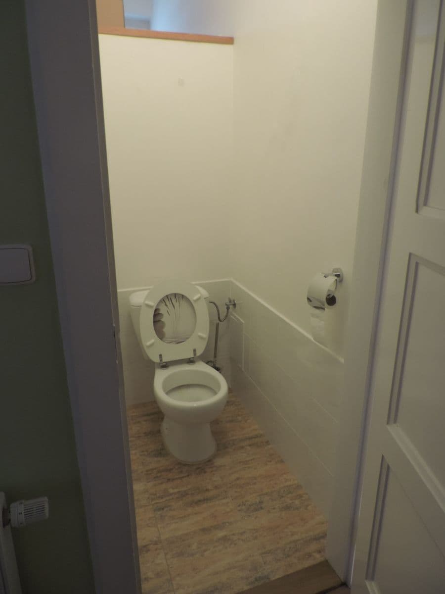 Pronájem bytu 1+1 53 m², Těsnohlídkova, Brno, Jihomoravský kraj Pronájem bytu 1+1 53 m², Těsnohlídkova, Brno, Jihomoravský kraj