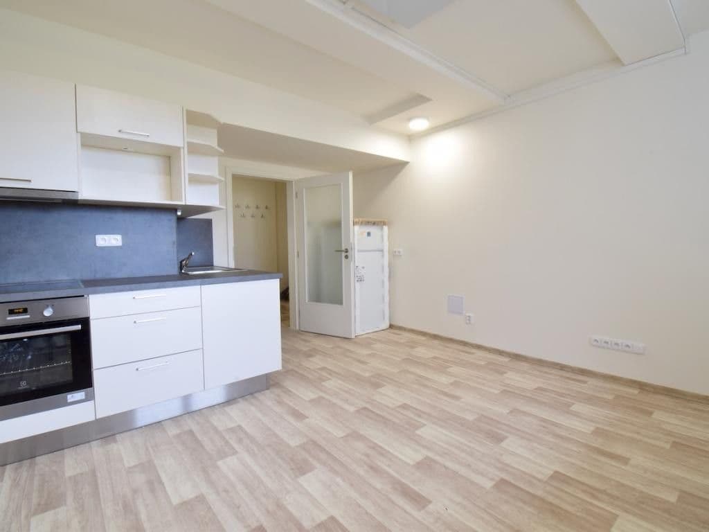 Pronájem bytu 2+kk 47 m², Skorkovského, Brno, Jihomoravský kraj Pronájem bytu 2+kk 47 m², Skorkovského, Brno, Jihomoravský kraj