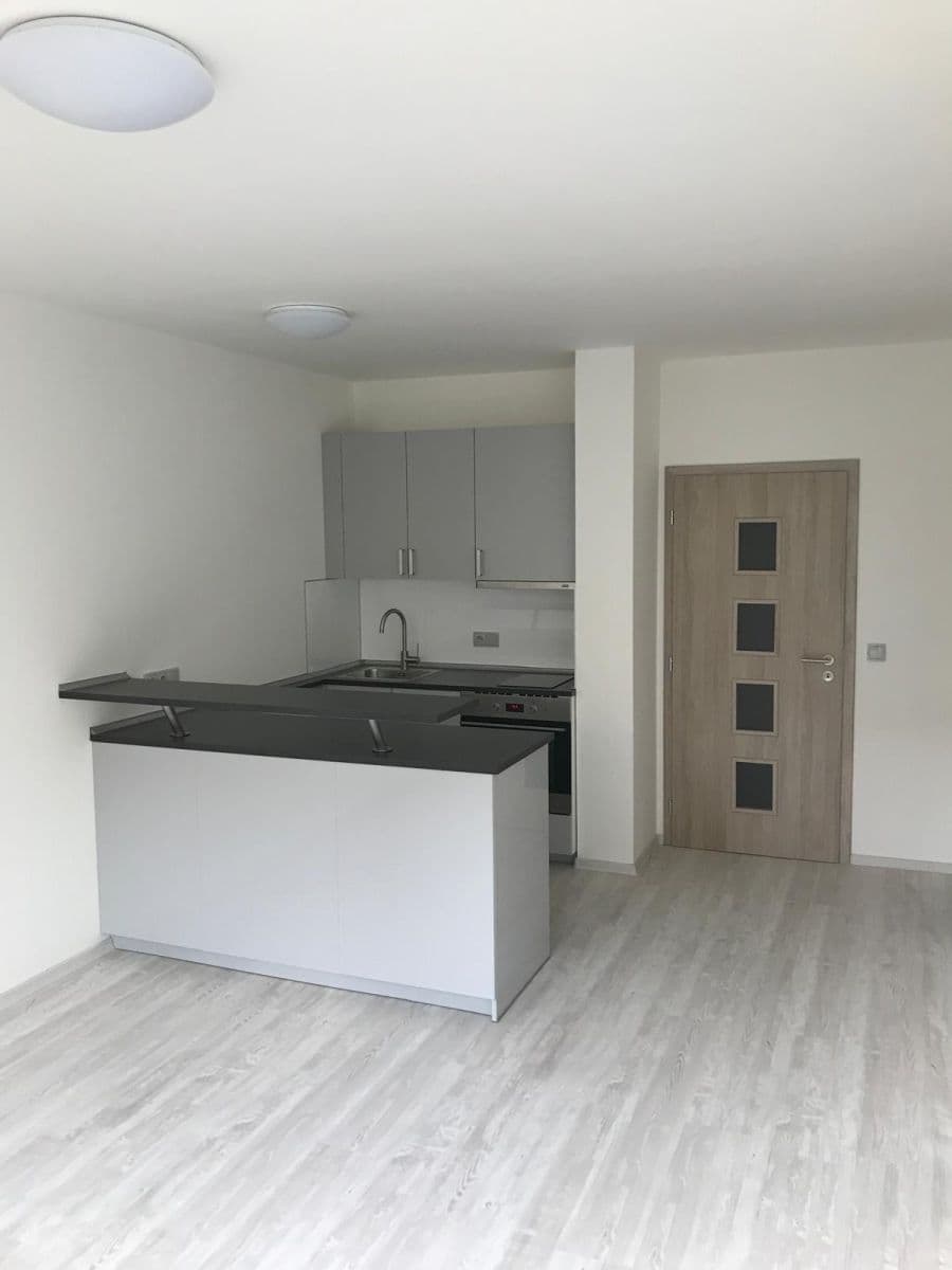 Pronájem bytu 1+kk 31 m², Voskovcova, Praha, Praha Pronájem bytu 1+kk 31 m², Voskovcova, Praha, Praha
