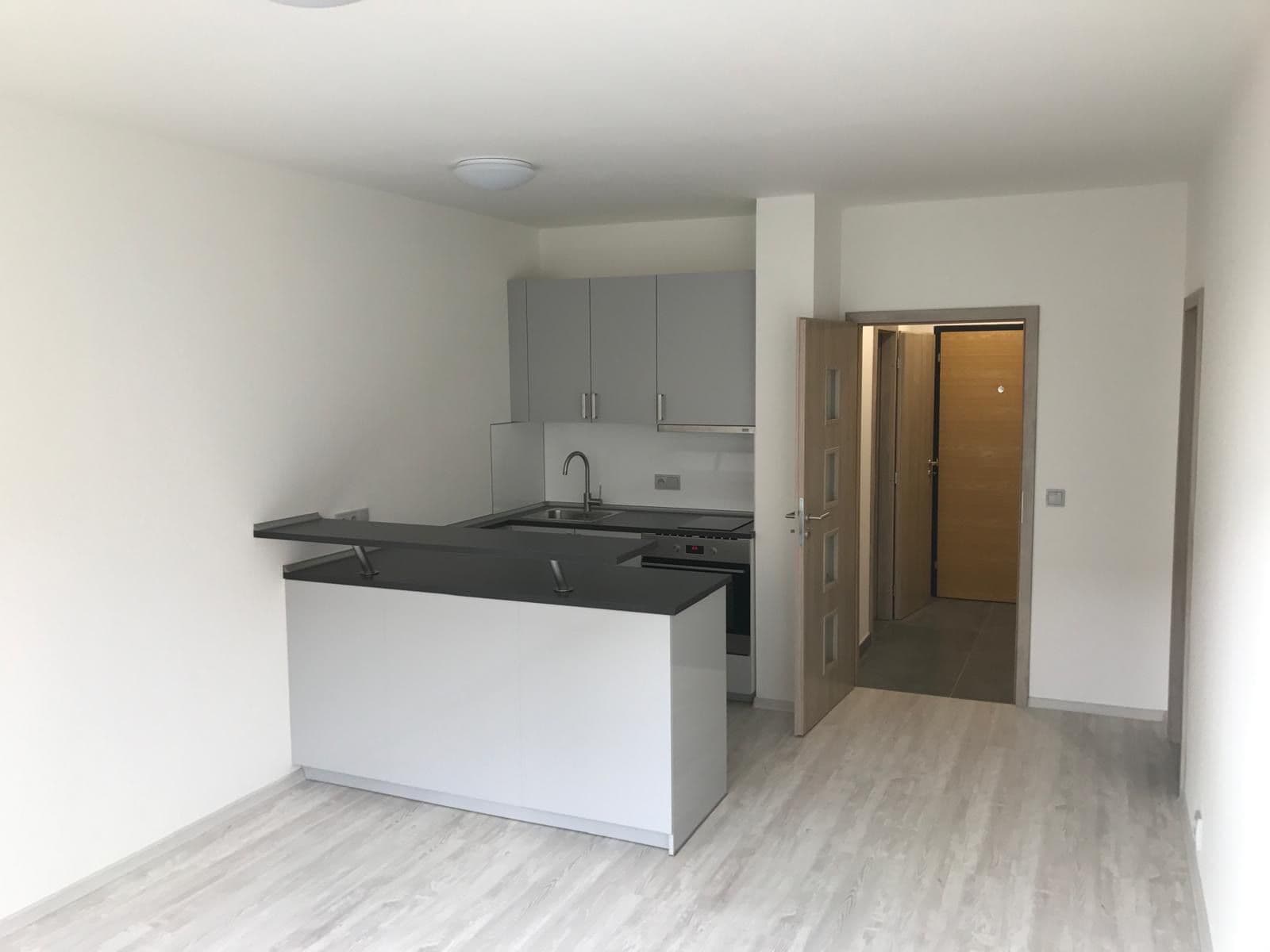 Pronájem bytu 1+kk 31 m², Voskovcova, Praha, Praha Pronájem bytu 1+kk 31 m², Voskovcova, Praha, Praha