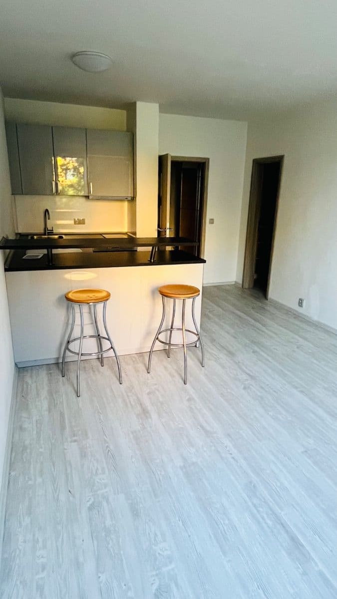 Pronájem bytu 1+kk 31 m², Voskovcova, Praha, Praha Pronájem bytu 1+kk 31 m², Voskovcova, Praha, Praha