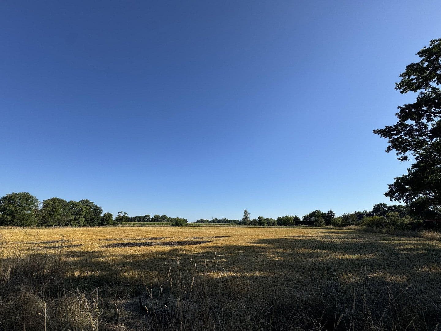 Prodej pozemku 400 m², Pfarrholz 12, Pegau, Sasko Prodej pozemku 400 m², Pfarrholz 12, Pegau, Sasko
