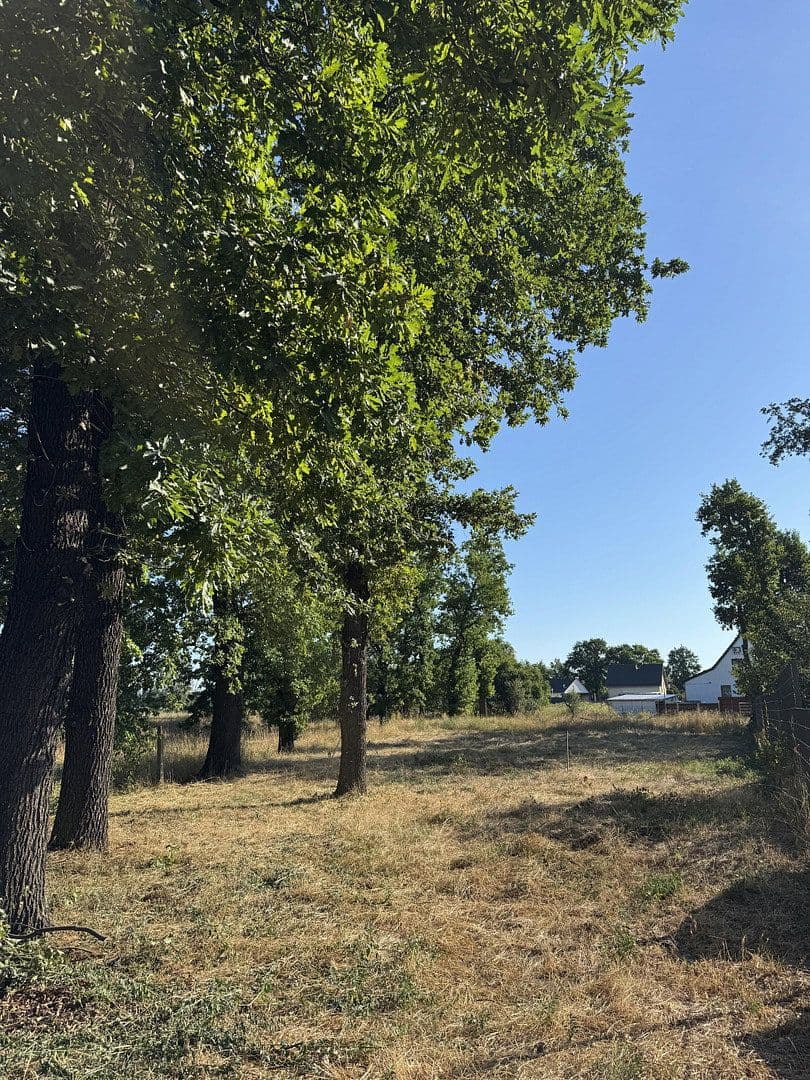 Prodej pozemku 400 m², Pfarrholz 12, Pegau, Sasko Prodej pozemku 400 m², Pfarrholz 12, Pegau, Sasko