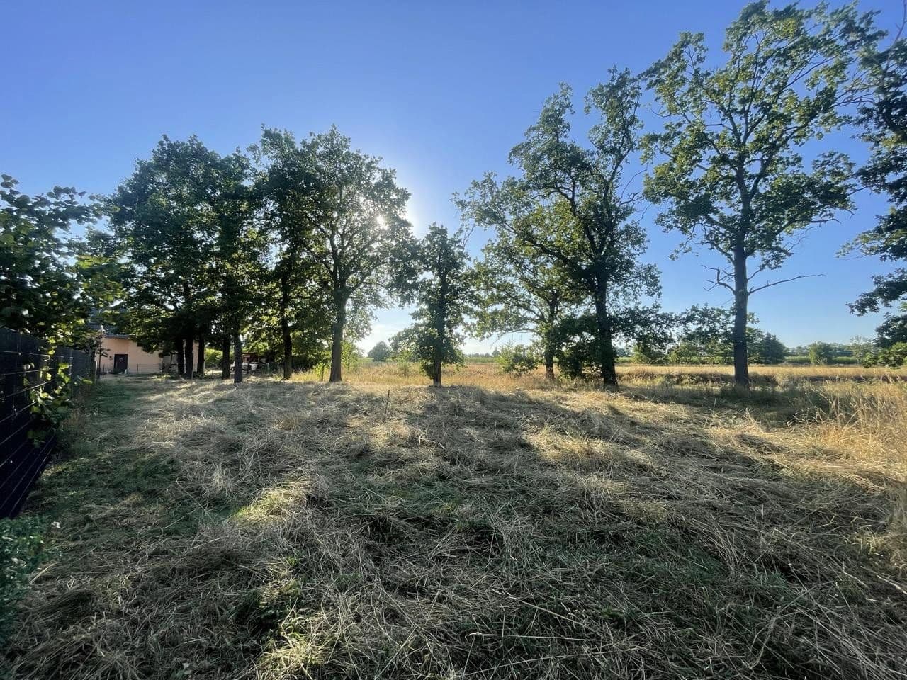 Prodej pozemku 400 m², Pfarrholz 12, Pegau, Sasko Prodej pozemku 400 m², Pfarrholz 12, Pegau, Sasko
