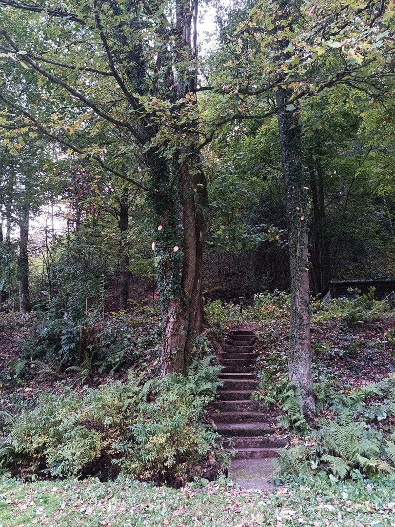 Prodej domu 180 m², pozemek 3.848 m², Wolfskehle 52, Kulmbach, Bavorsko Prodej domu 180 m², pozemek 3.848 m², Wolfskehle 52, Kulmbach, Bavorsko