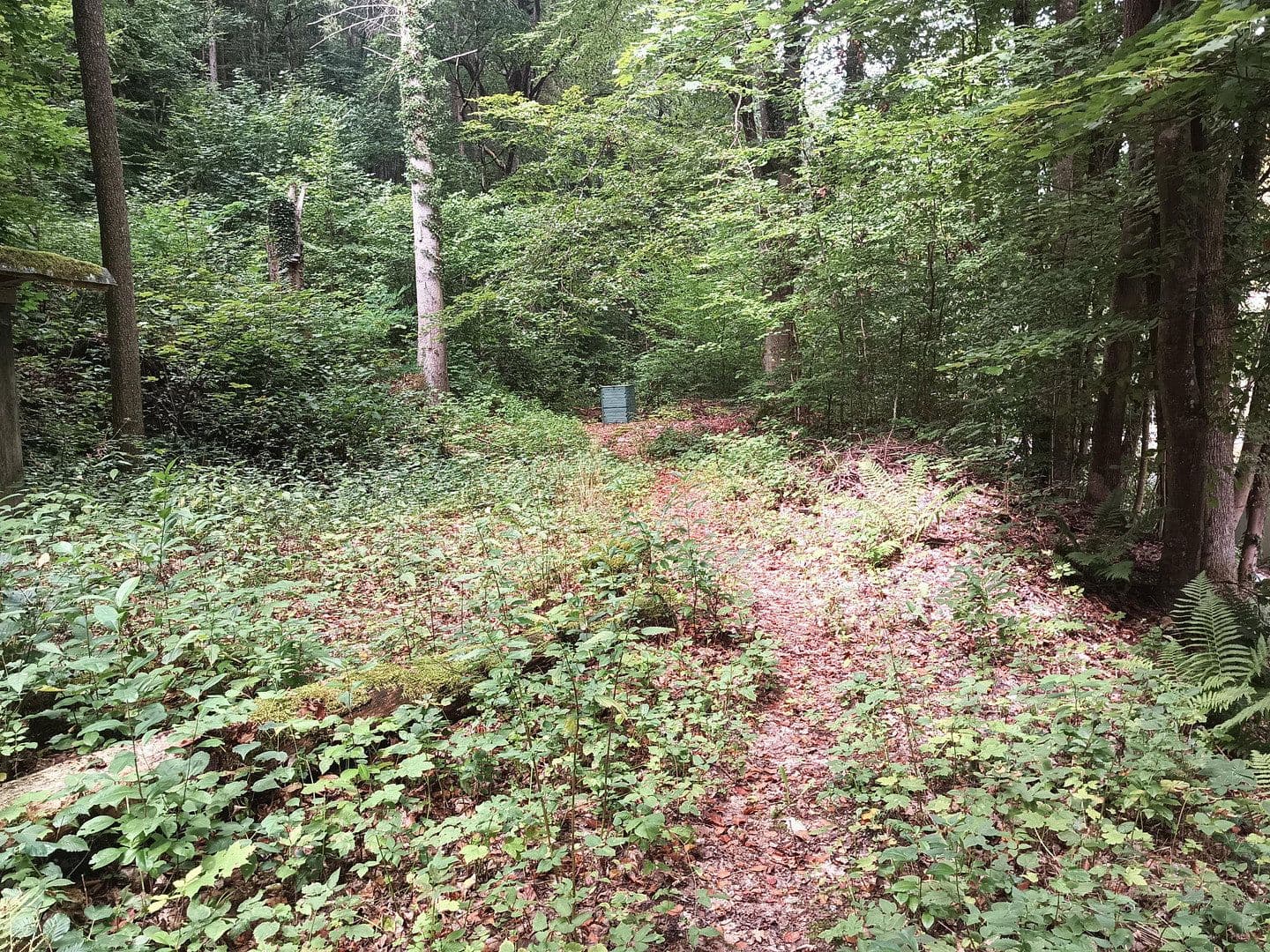 Prodej domu 180 m², pozemek 3.848 m², Wolfskehle 52, Kulmbach, Bavorsko Prodej domu 180 m², pozemek 3.848 m², Wolfskehle 52, Kulmbach, Bavorsko