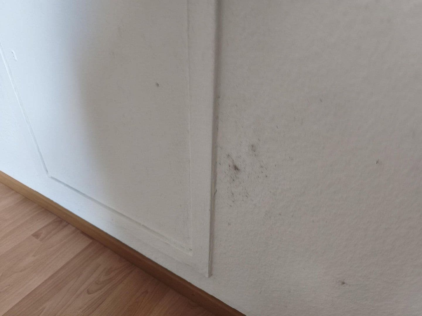 Pronájem bytu 3+1 57 m², Paul-Sorge-Straße 92, Hamburg, Hamburg Pronájem bytu 3+1 57 m², Paul-Sorge-Straße 92, Hamburg, Hamburg