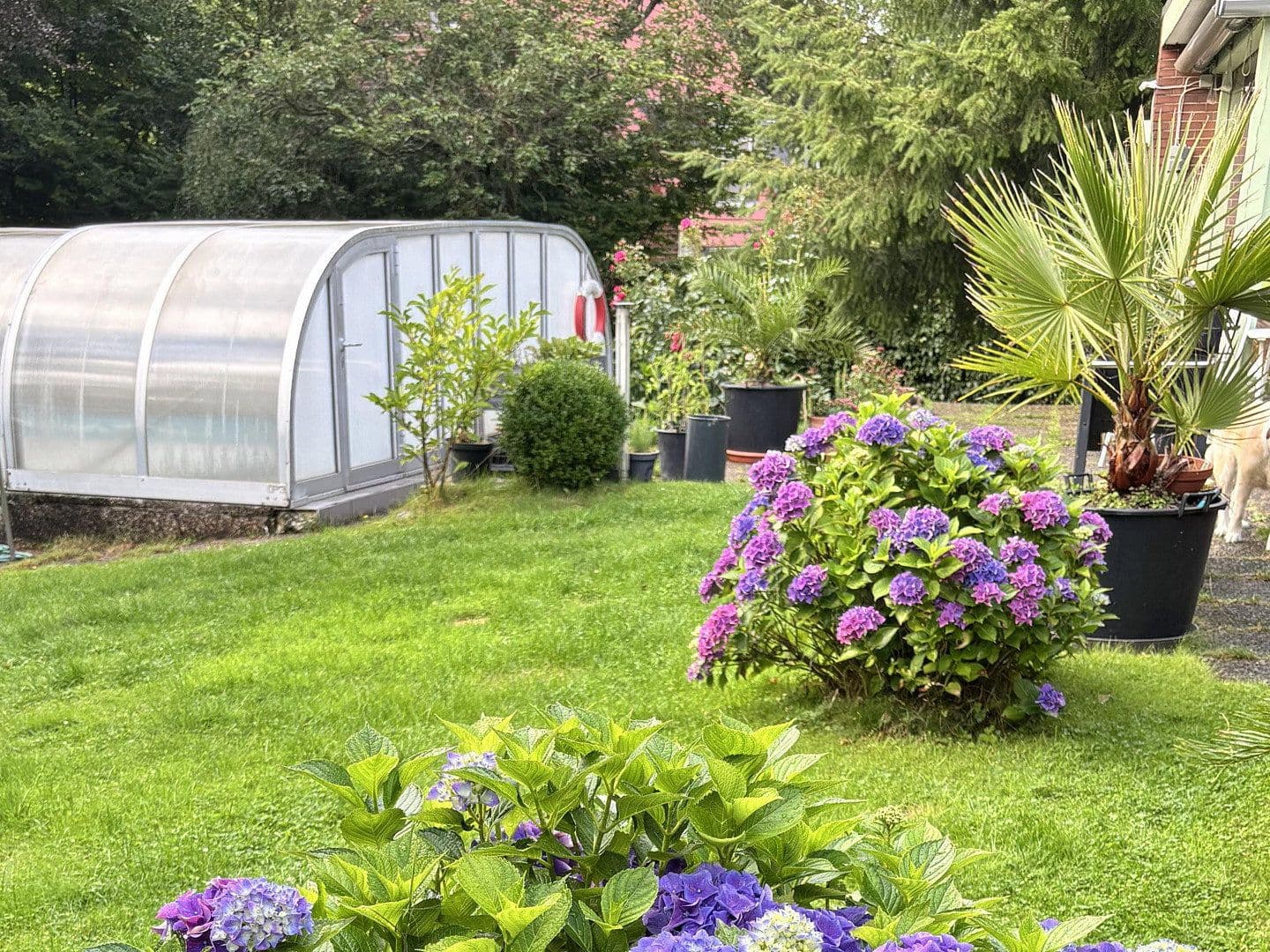 Prodej domu 150 m², pozemek 3.000 m², Bauerntor 4, Gödenstorf, Dolní Sasko Prodej domu 150 m², pozemek 3.000 m², Bauerntor 4, Gödenstorf, Dolní Sasko