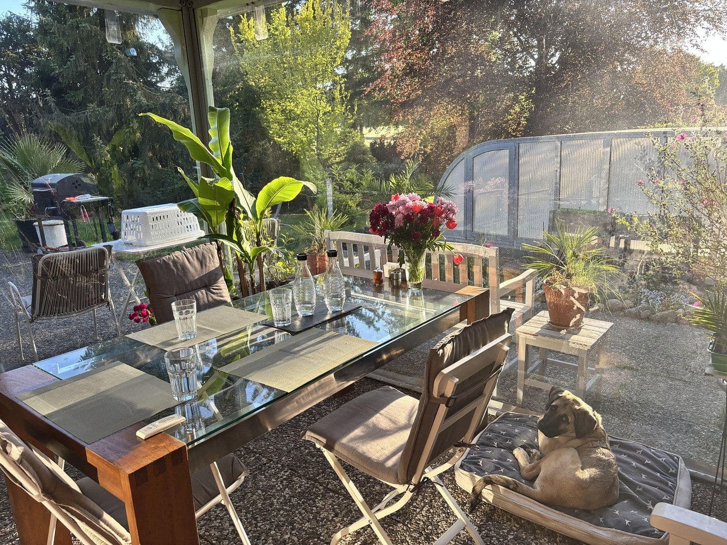 Prodej domu 150 m², pozemek 3.000 m², Bauerntor 4, Gödenstorf, Dolní Sasko Prodej domu 150 m², pozemek 3.000 m², Bauerntor 4, Gödenstorf, Dolní Sasko