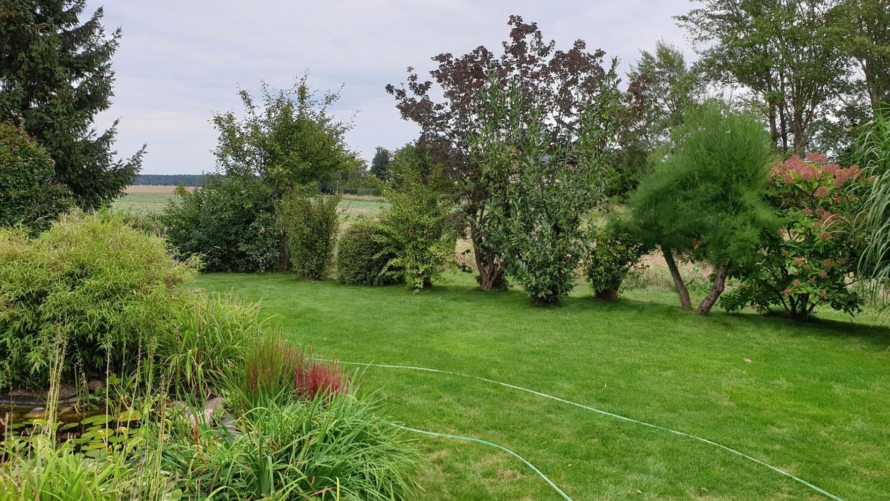 Prodej domu 113 m², pozemek 495 m², Krostitz, Sasko Prodej domu 113 m², pozemek 495 m², Krostitz, Sasko