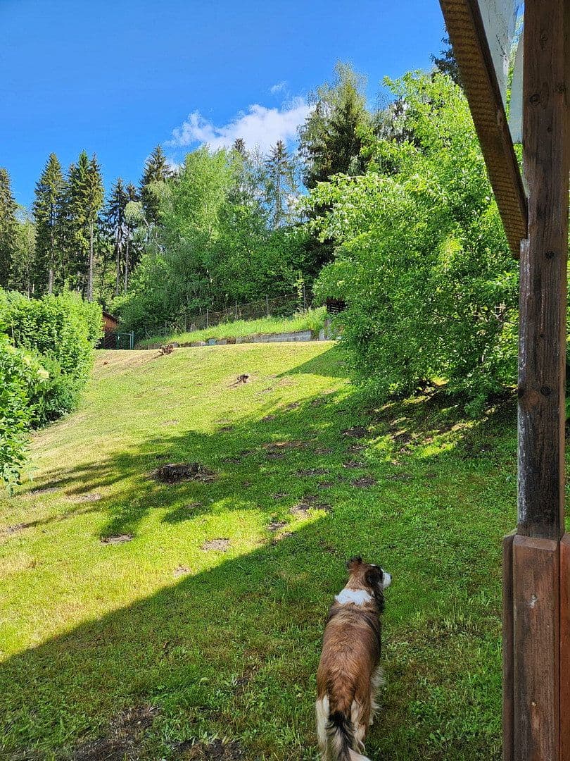 Prodej domu 152 m², pozemek 1.460 m², Schwimmbadstraße 31, Neumarkt in der Steiermark, Štýrsko Prodej domu 152 m², pozemek 1.460 m², Schwimmbadstraße 31, Neumarkt in der Steiermark, Štýrsko
