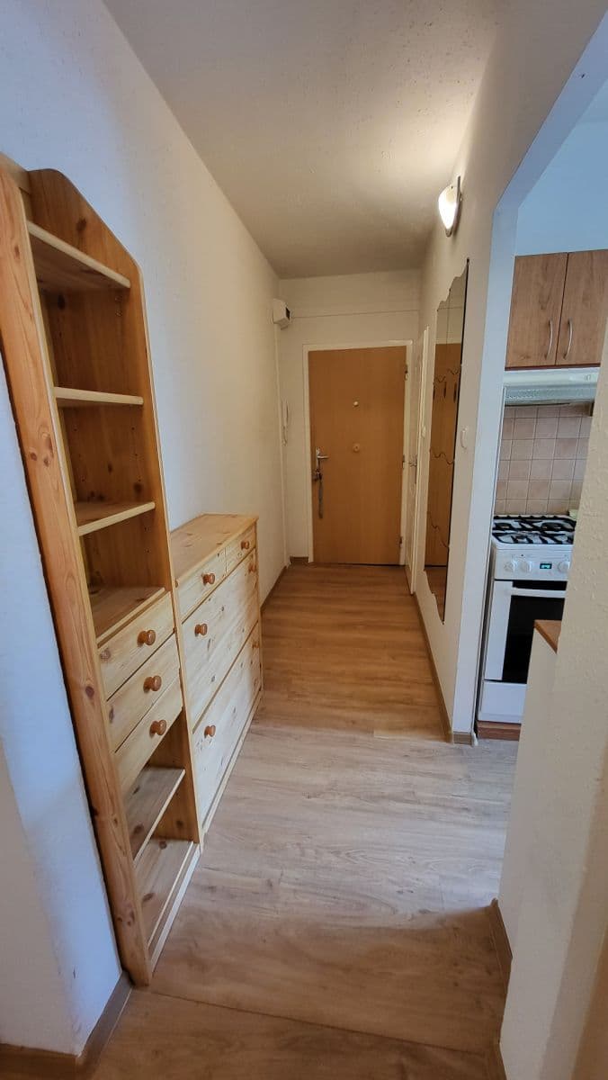 Pronájem bytu 2+1 55 m², Černého, Brno, Jihomoravský kraj Pronájem bytu 2+1 55 m², Černého, Brno, Jihomoravský kraj