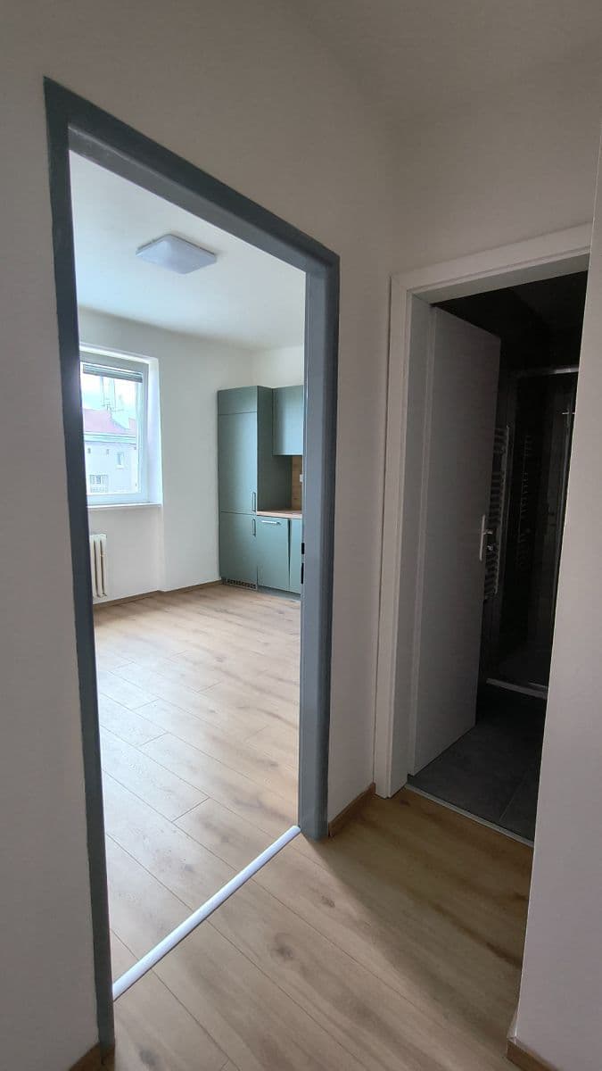 Pronájem bytu 1+1 45 m², Půlnoční, Praha, Praha Pronájem bytu 1+1 45 m², Půlnoční, Praha, Praha