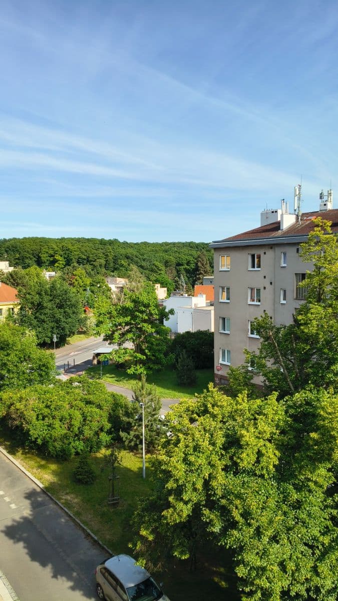 Pronájem bytu 1+1 45 m², Půlnoční, Praha, Praha Pronájem bytu 1+1 45 m², Půlnoční, Praha, Praha