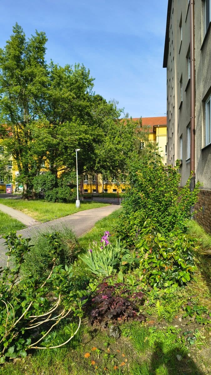 Pronájem bytu 1+1 45 m², Půlnoční, Praha, Praha Pronájem bytu 1+1 45 m², Půlnoční, Praha, Praha