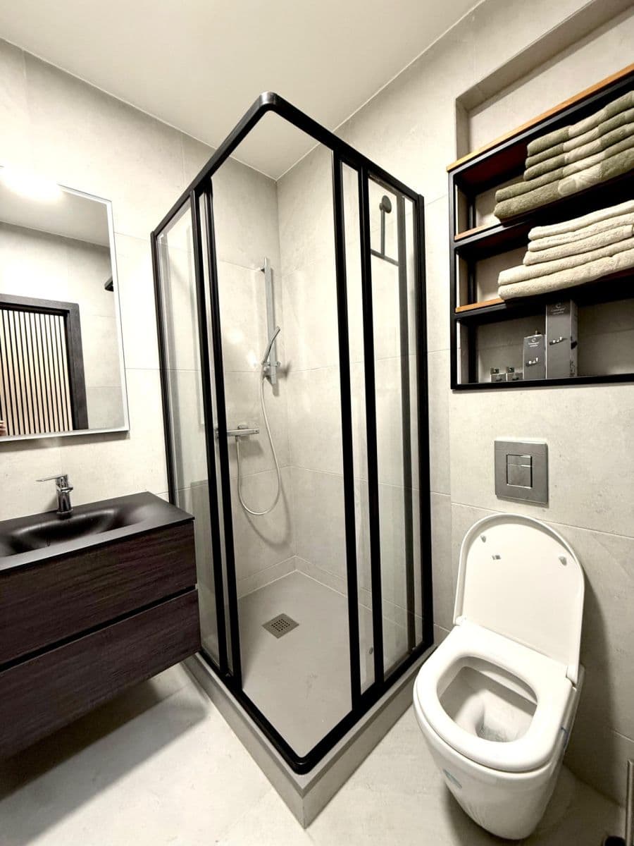 Pronájem bytu 1+kk 42 m², Šmejkalova, Brno, Jihomoravský kraj Pronájem bytu 1+kk 42 m², Šmejkalova, Brno, Jihomoravský kraj