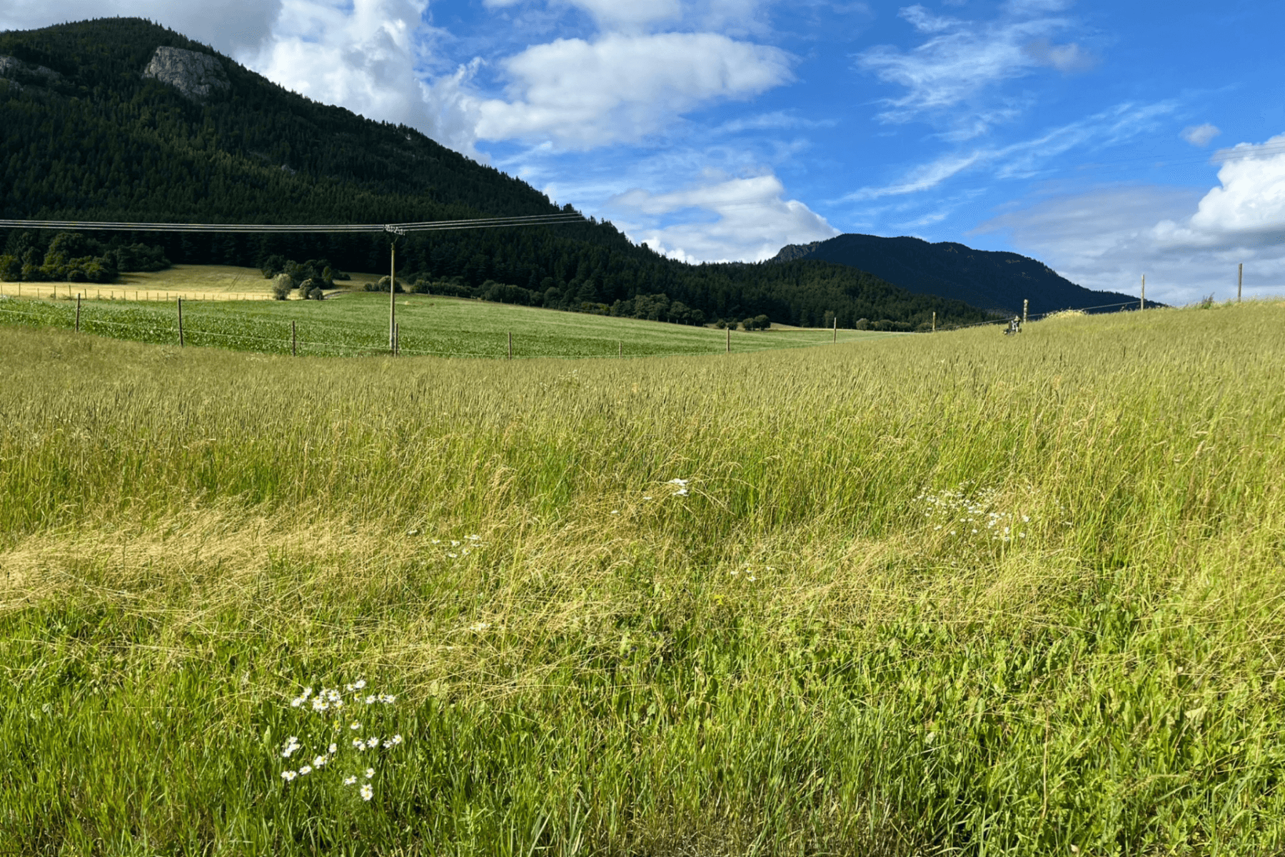 Prodej pozemku 1.821 m², Liptovská Anna, Žilinský kraj Prodej pozemku 1.821 m², Liptovská Anna, Žilinský kraj