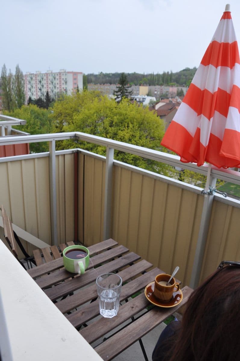 Pronájem bytu 1+1 36 m², Vídeňská, Brno, Jihomoravský kraj Pronájem bytu 1+1 36 m², Vídeňská, Brno, Jihomoravský kraj