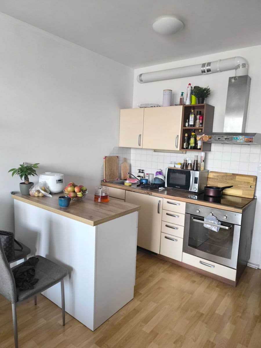 Pronájem bytu 1+kk 39 m², Podkovářská, Praha, Praha Pronájem bytu 1+kk 39 m², Podkovářská, Praha, Praha