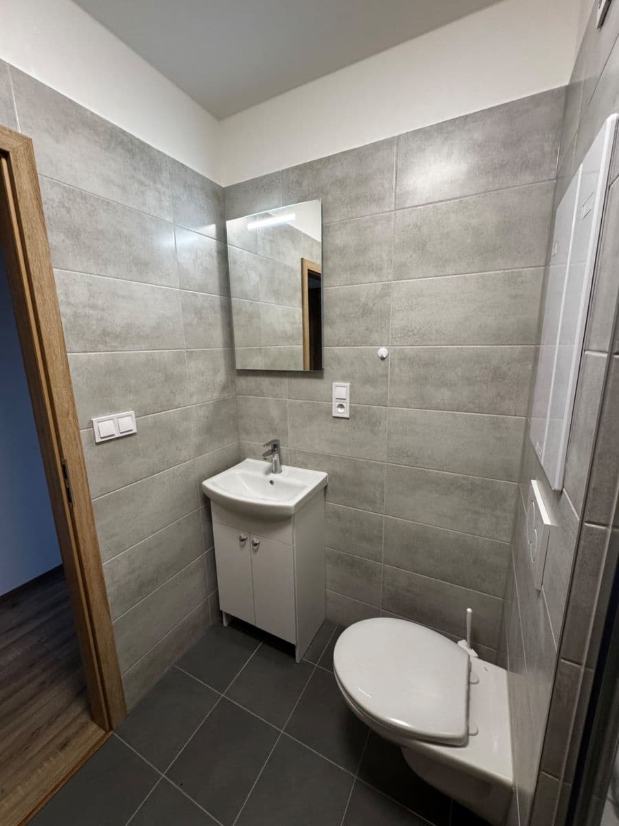 Pronájem bytu 1+1 41 m², Sokolovská, Plzeň, Plzeňský kraj Pronájem bytu 1+1 41 m², Sokolovská, Plzeň, Plzeňský kraj