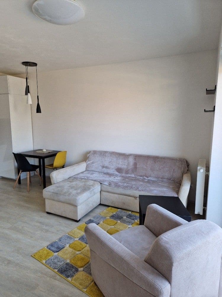 Pronájem bytu 2+kk 47 m², Selská, Brno, Jihomoravský kraj Pronájem bytu 2+kk 47 m², Selská, Brno, Jihomoravský kraj
