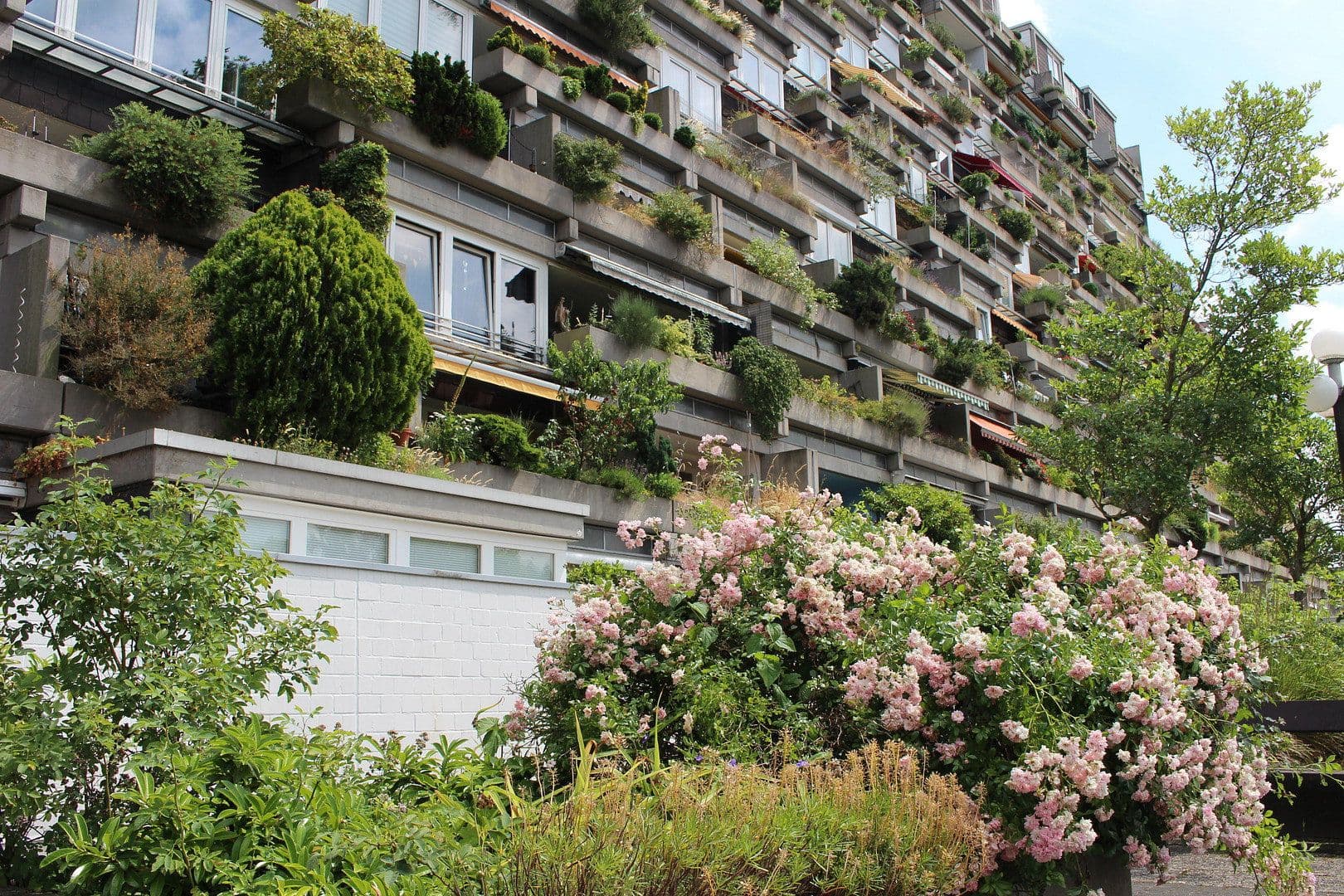 Prodej bytu 4+1 125 m², Wegsfeld 42, Hannover, Dolní Sasko Prodej bytu 4+1 125 m², Wegsfeld 42, Hannover, Dolní Sasko