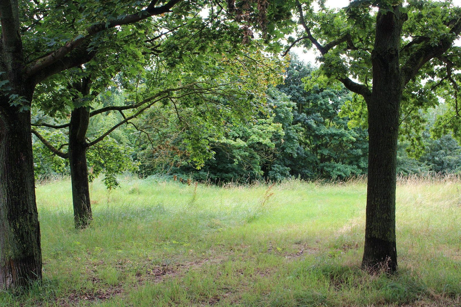 Prodej bytu 4+1 125 m², Wegsfeld 42, Hannover, Dolní Sasko Prodej bytu 4+1 125 m², Wegsfeld 42, Hannover, Dolní Sasko