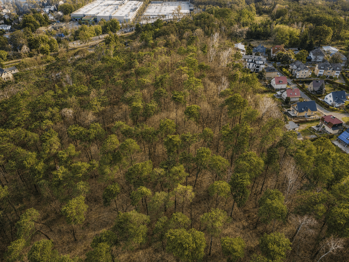 Prodej domu 375 m², pozemek 110.762 m², Ruppiner Chaussee 406, 408, Berlin, Berlín Prodej domu 375 m², pozemek 110.762 m², Ruppiner Chaussee 406, 408, Berlin, Berlín