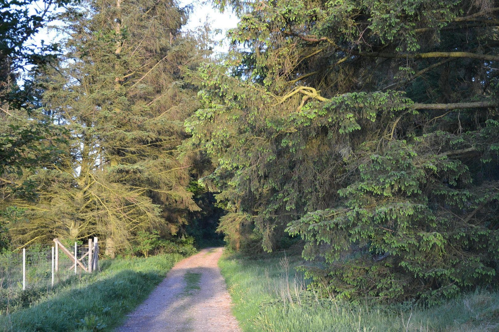 Prodej domu 110 m², pozemek 211 m², Humptrup, Šlesvicko-Holštýnsko Prodej domu 110 m², pozemek 211 m², Humptrup, Šlesvicko-Holštýnsko