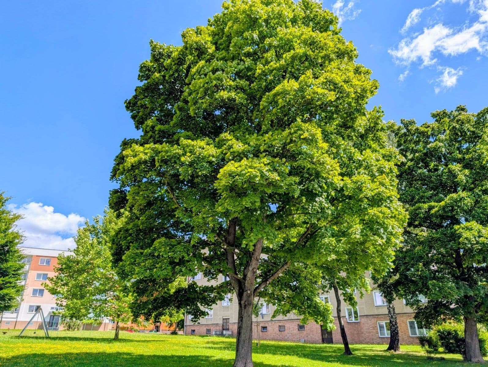 Pronájem bytu 3+1 61 m², Uzavřená, Havířov, Moravskoslezský kraj Pronájem bytu 3+1 61 m², Uzavřená, Havířov, Moravskoslezský kraj
