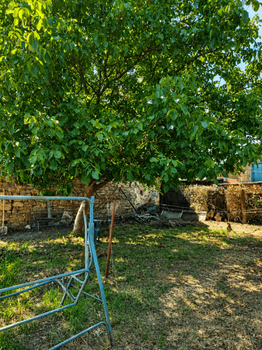 Prodej domu 228 m², pozemek 295 m², Obránců míru, Trnávka, Pardubický kraj Prodej domu 228 m², pozemek 295 m², Obránců míru, Trnávka, Pardubický kraj