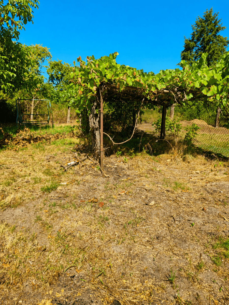 Prodej domu 228 m², pozemek 295 m², Obránců míru, Trnávka, Pardubický kraj Prodej domu 228 m², pozemek 295 m², Obránců míru, Trnávka, Pardubický kraj