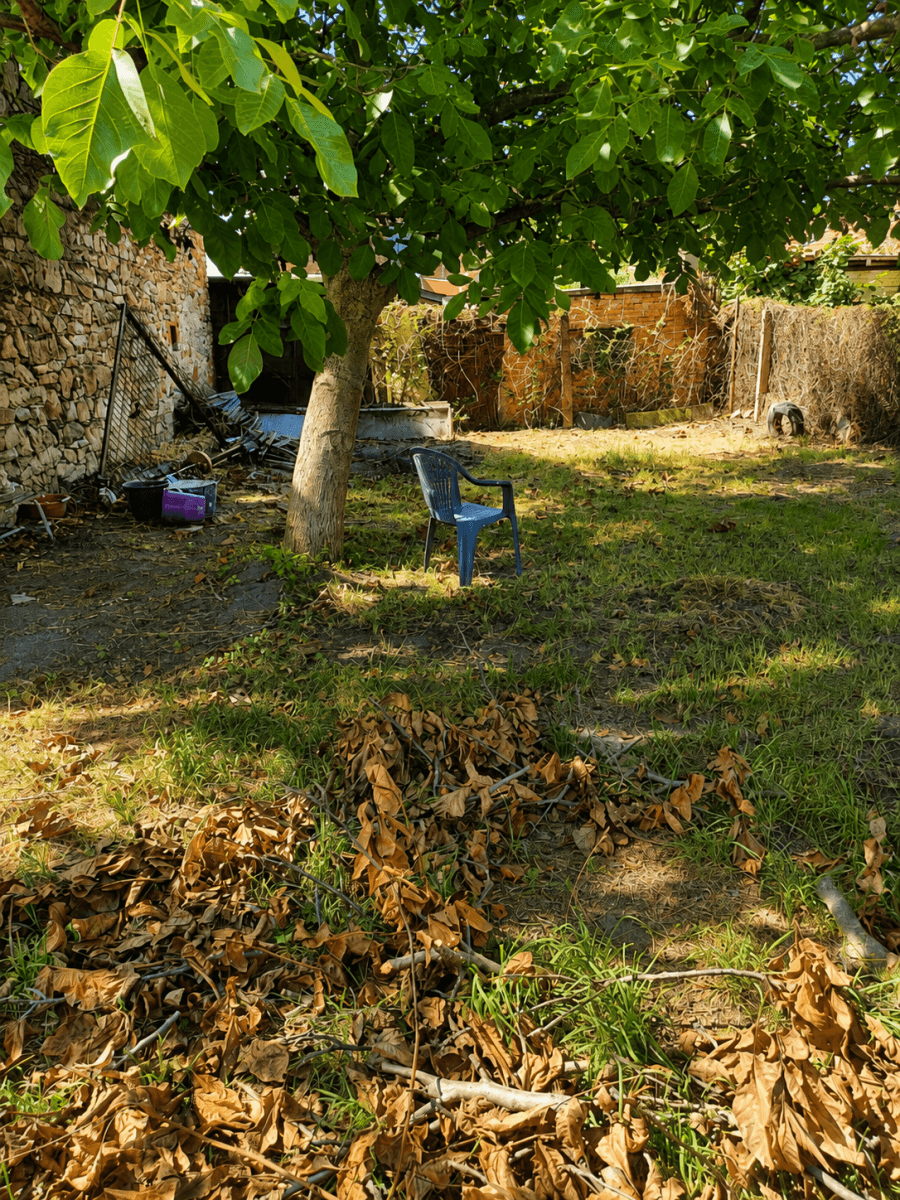 Prodej domu 228 m², pozemek 295 m², Obránců míru, Trnávka, Pardubický kraj Prodej domu 228 m², pozemek 295 m², Obránců míru, Trnávka, Pardubický kraj