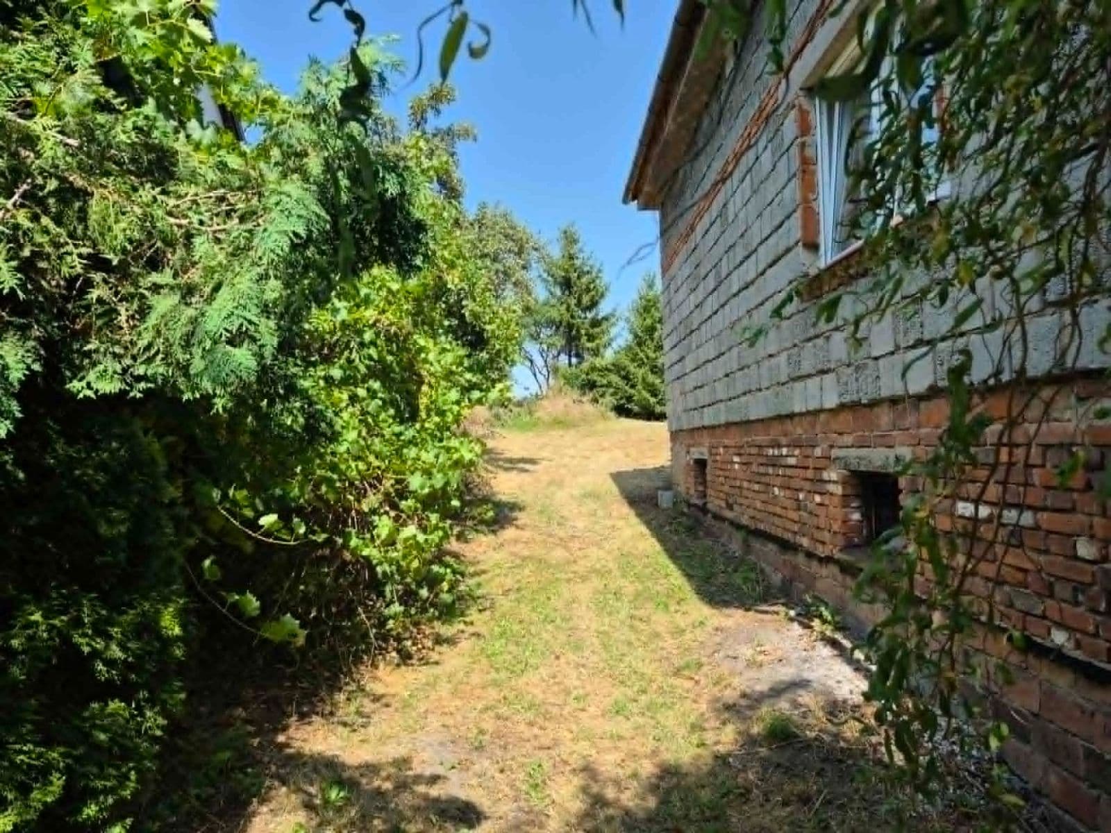 Prodej domu 200 m², pozemek 2.980 m², Nechanice, Královéhradecký kraj Prodej domu 200 m², pozemek 2.980 m², Nechanice, Královéhradecký kraj