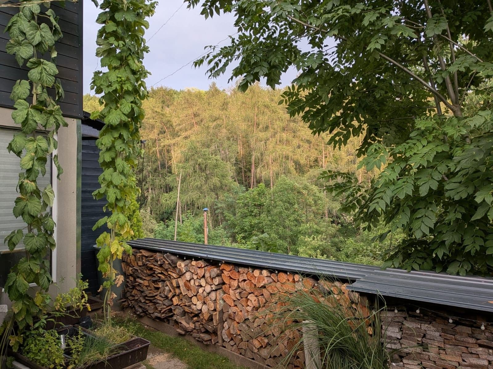 Prodej chaty, chalupy 45 m², pozemek 185 m², Višňovka, Praha, Praha Prodej chaty, chalupy 45 m², pozemek 185 m², Višňovka, Praha, Praha