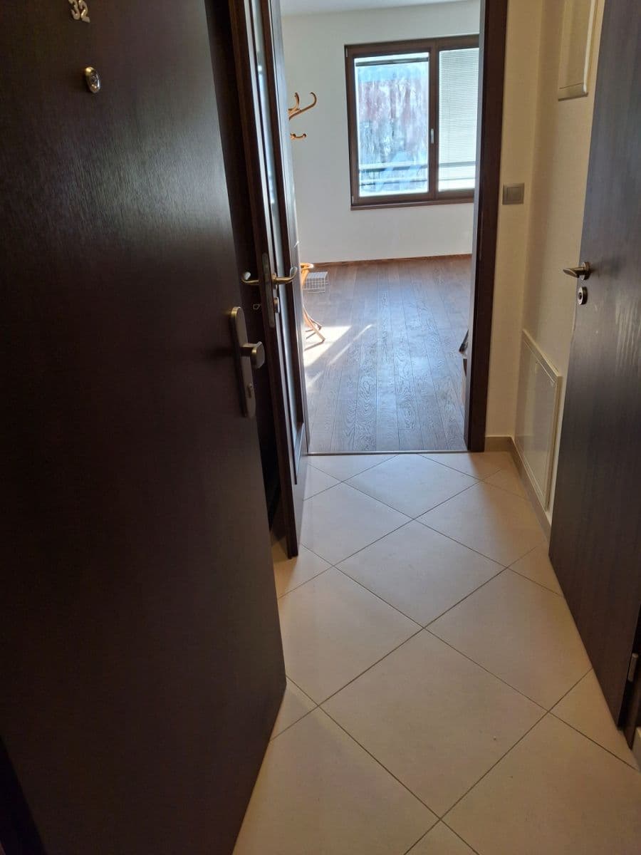 Pronájem bytu 1+kk 28 m², Bassova, Praha, Praha Pronájem bytu 1+kk 28 m², Bassova, Praha, Praha