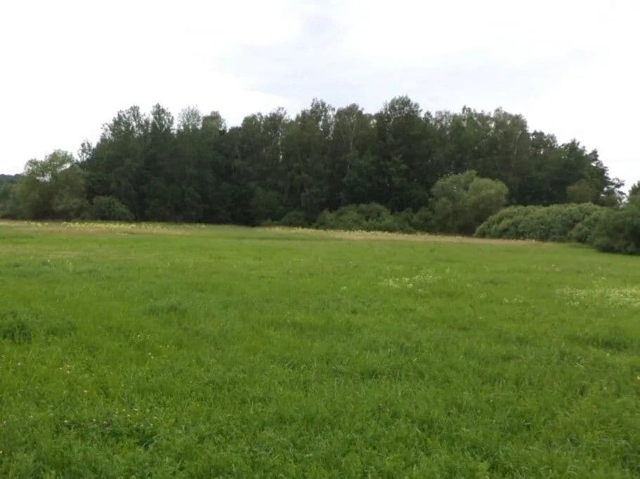 Prodej pozemku 5.581 m², Česká Lípa, Liberecký kraj Prodej pozemku 5.581 m², Česká Lípa, Liberecký kraj
