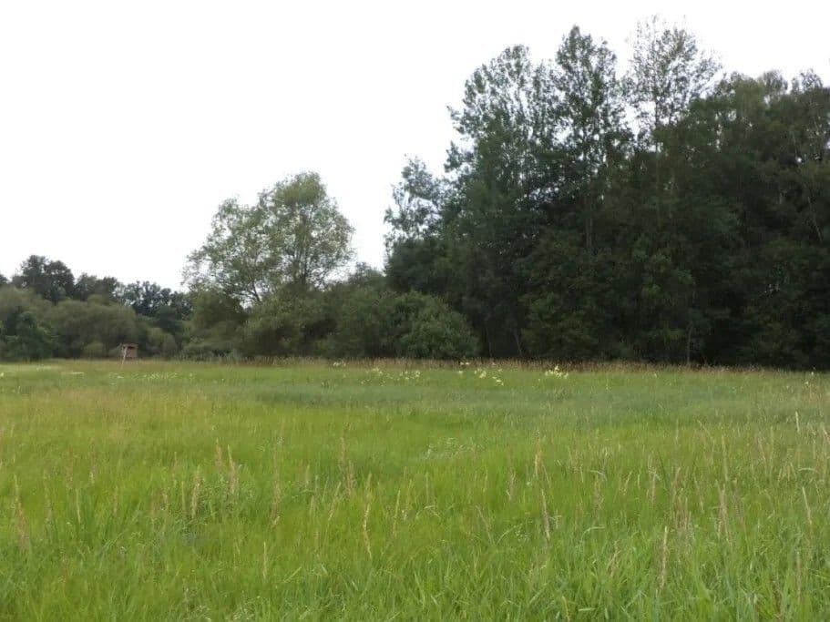 Prodej pozemku 5.581 m², Česká Lípa, Liberecký kraj Prodej pozemku 5.581 m², Česká Lípa, Liberecký kraj