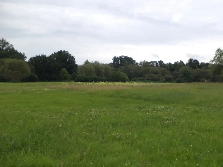 Prodej pozemku 5.581 m², Česká Lípa, Liberecký kraj Prodej pozemku 5.581 m², Česká Lípa, Liberecký kraj