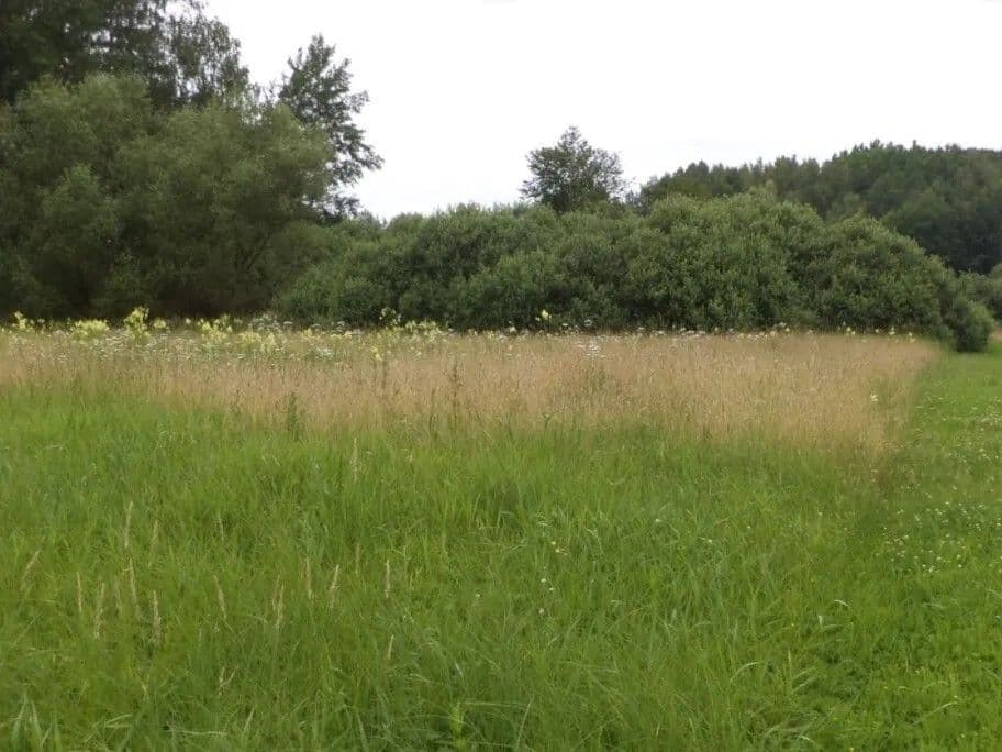 Prodej pozemku 5.581 m², Česká Lípa, Liberecký kraj Prodej pozemku 5.581 m², Česká Lípa, Liberecký kraj