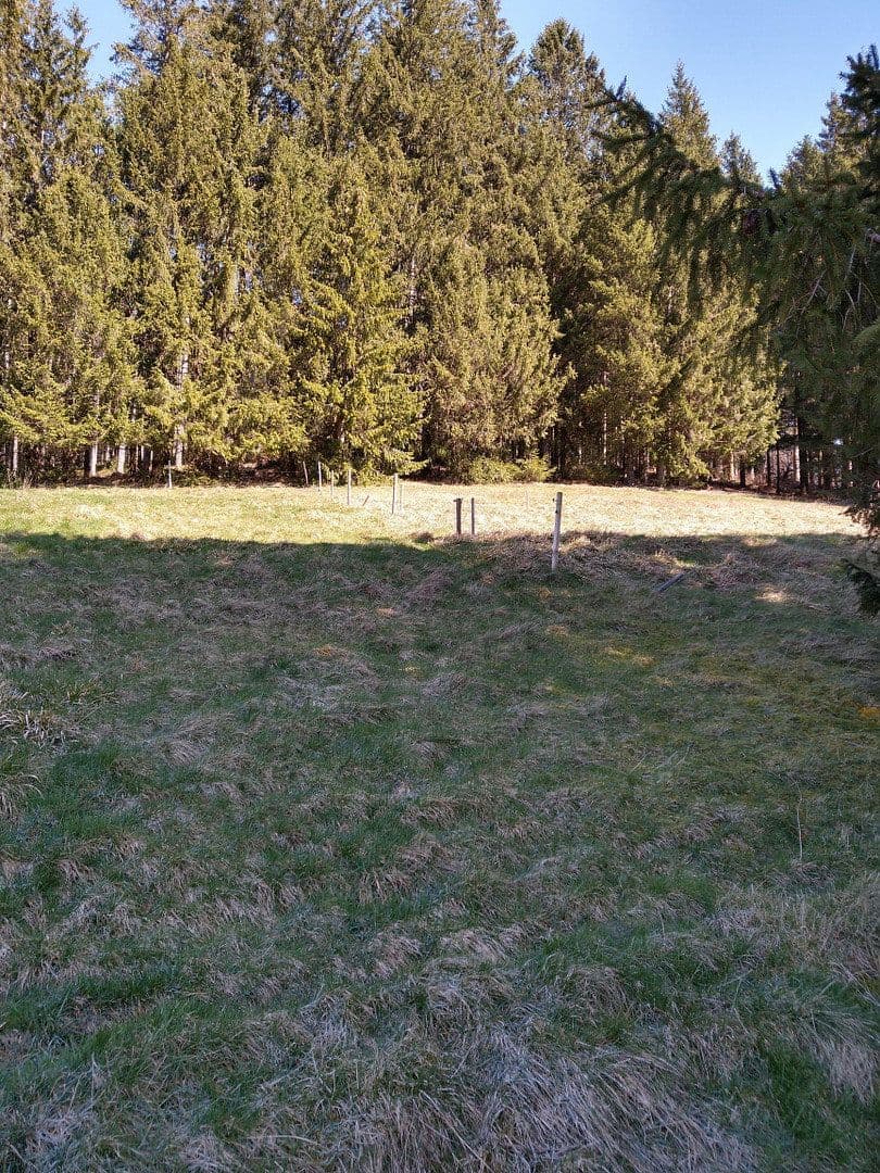 Prodej domu 237 m², pozemek 980 m², Furtwangen im Schwarzwald, Bádensko-Württembersko Prodej domu 237 m², pozemek 980 m², Furtwangen im Schwarzwald, Bádensko-Württembersko