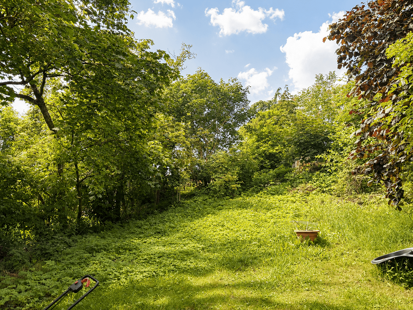Prodej domu 483 m², pozemek 1.664 m², Lamspringe, Dolní Sasko Prodej domu 483 m², pozemek 1.664 m², Lamspringe, Dolní Sasko