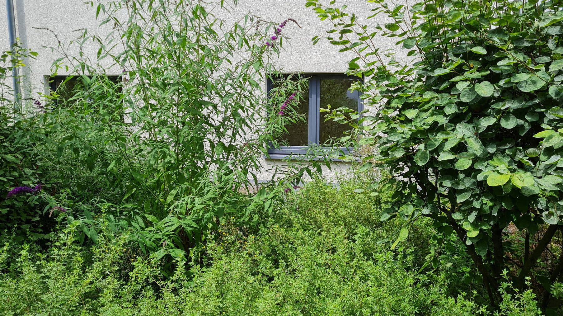 Pronájem bytu 3+kk 62 m², Frankfurt am Main, Hessen Pronájem bytu 3+kk 62 m², Frankfurt am Main, Hessen
