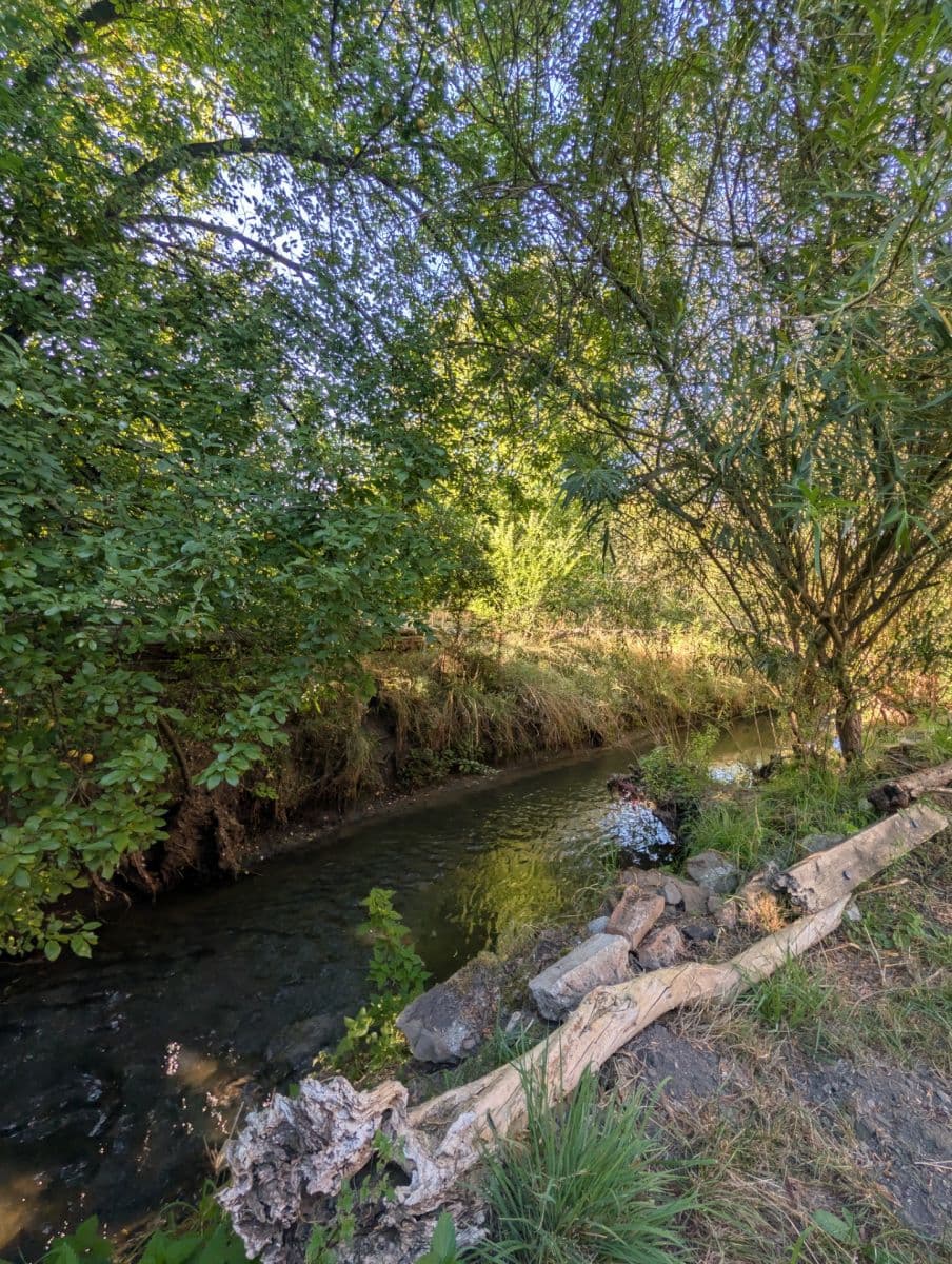 Pronájem domu 100 m², pozemek 247 m², V Poustkách, Mratín, Středočeský kraj Pronájem domu 100 m², pozemek 247 m², V Poustkách, Mratín, Středočeský kraj